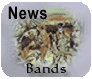 Bands' News