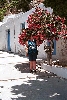 Click here to see the picture (crete040601_09_chrissoskalitissa_monastery_marlies.jpg)