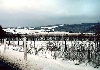Click here to see the picture (bam290104_05_area_badmuenstereifel.jpg)