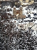 Click here to see the picture (bam290104_23_badmuenstereifel.jpg)